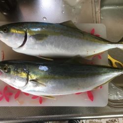 台風後の朝練♫