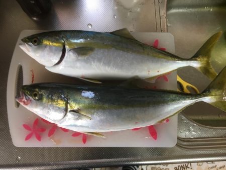 台風後の朝練♫