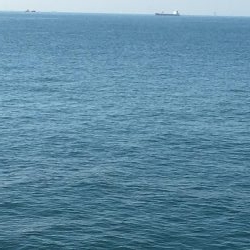 釣れてる時は朝練頑張りますよ♫