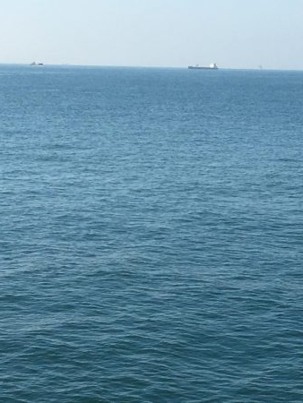 釣れてる時は朝練頑張りますよ♫