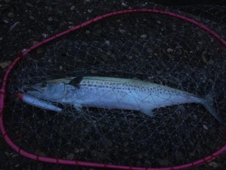 人が多いと釣れんわ〜