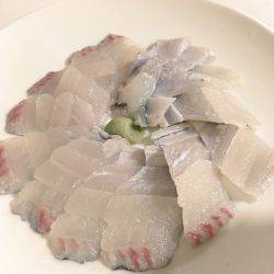 今シーズン初のタチウオ