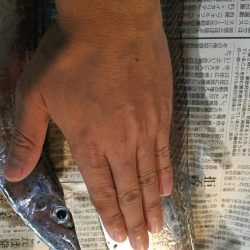 台風後台風前の釣り