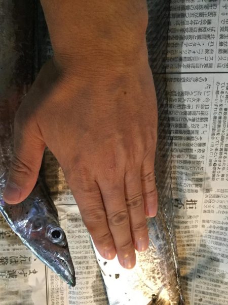 台風後台風前の釣り