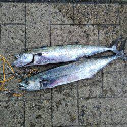 超絶、楽しかった♪