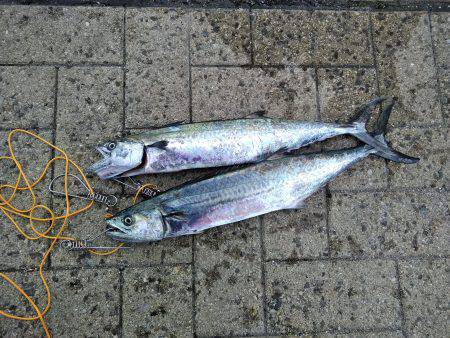 超絶、楽しかった♪