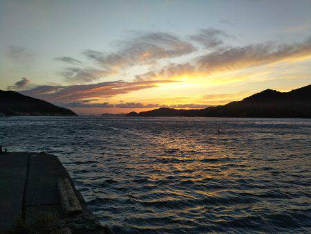 阿南市の椿泊でタチウオとカマス