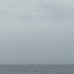 荒天でもタコが釣れる、この場所最高！