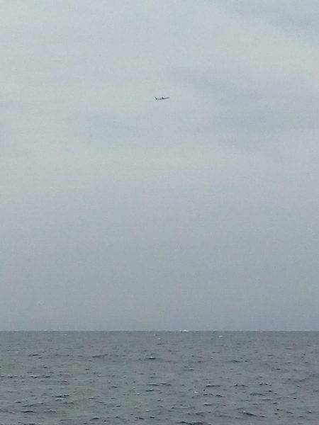 荒天でもタコが釣れる、この場所最高！