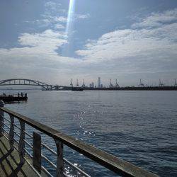 太刀魚、釣ってアンチエイジング！！