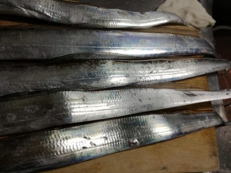 タチウオまずまず・・・