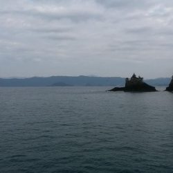 エギング＆ロックフィッシュ