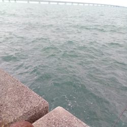 本命はゼロ、外道は釣れました。