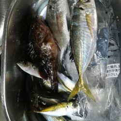 太刀魚撃沈