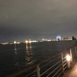 シーサイドコスモでワインド