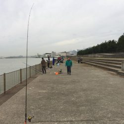 台風後の釣果