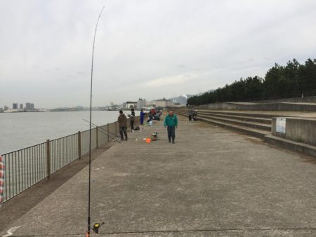 台風後の釣果