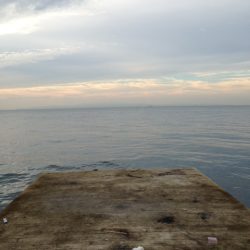 フックは大事!!!