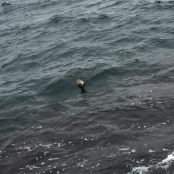 小雨の中粘って…