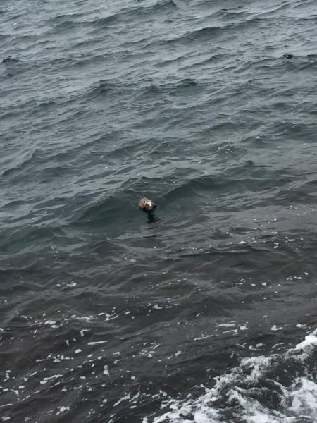 小雨の中粘って…