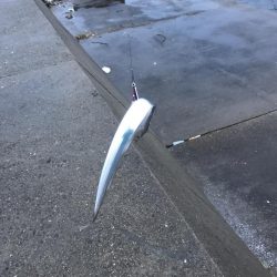 来てますね(o^^o)