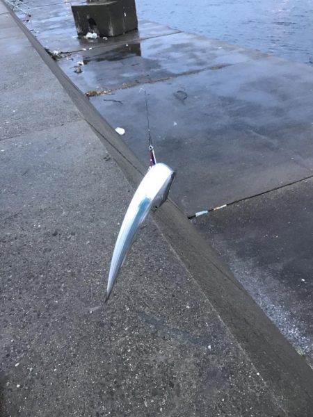 来てますね(o^^o)