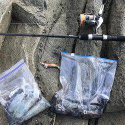 4回目のエギング