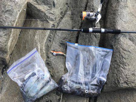 4回目のエギング