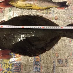 青モノ目指して