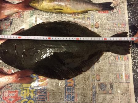 青モノ目指して