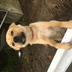 桜池はトレーニングに最適⁉︎