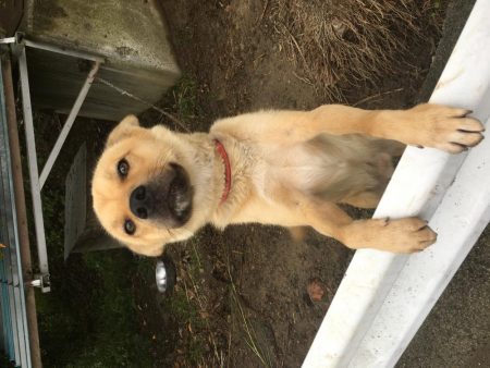 桜池はトレーニングに最適⁉︎