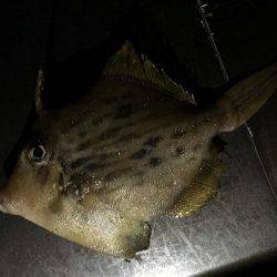 西流れが難しい