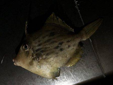 西流れが難しい