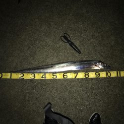 ポーアイチャレンジ