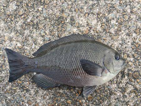 スローワインド