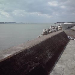 強風と濁流海水