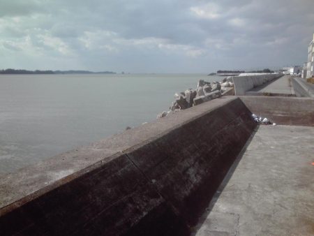 強風と濁流海水