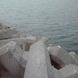 テトラでガシラ釣り