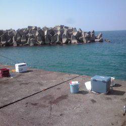 シマアジとフエフキダイ