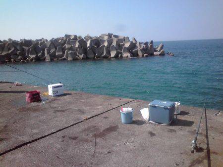 シマアジとフエフキダイ