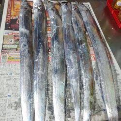 太刀魚釣り・・渋いですよ！