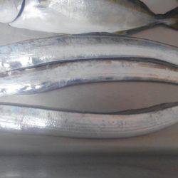 太刀魚&サビキ~ののませ!