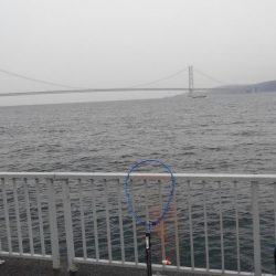 ショアジギボウズ