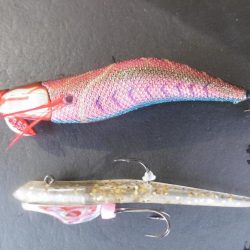 エギングついでに・・・・