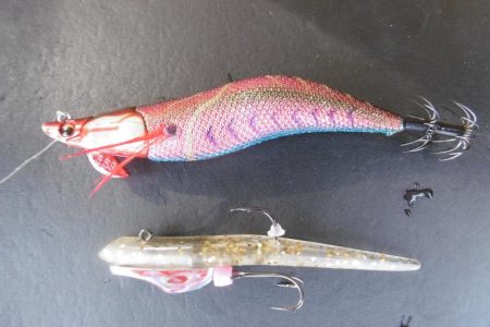 エギングついでに・・・・