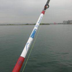 スナダコオクトパッシング