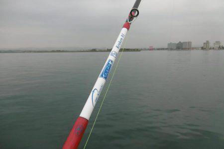 スナダコオクトパッシング