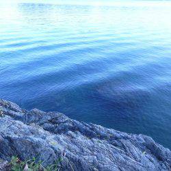 釣り日和なれど