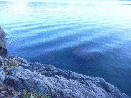 釣り日和なれど
